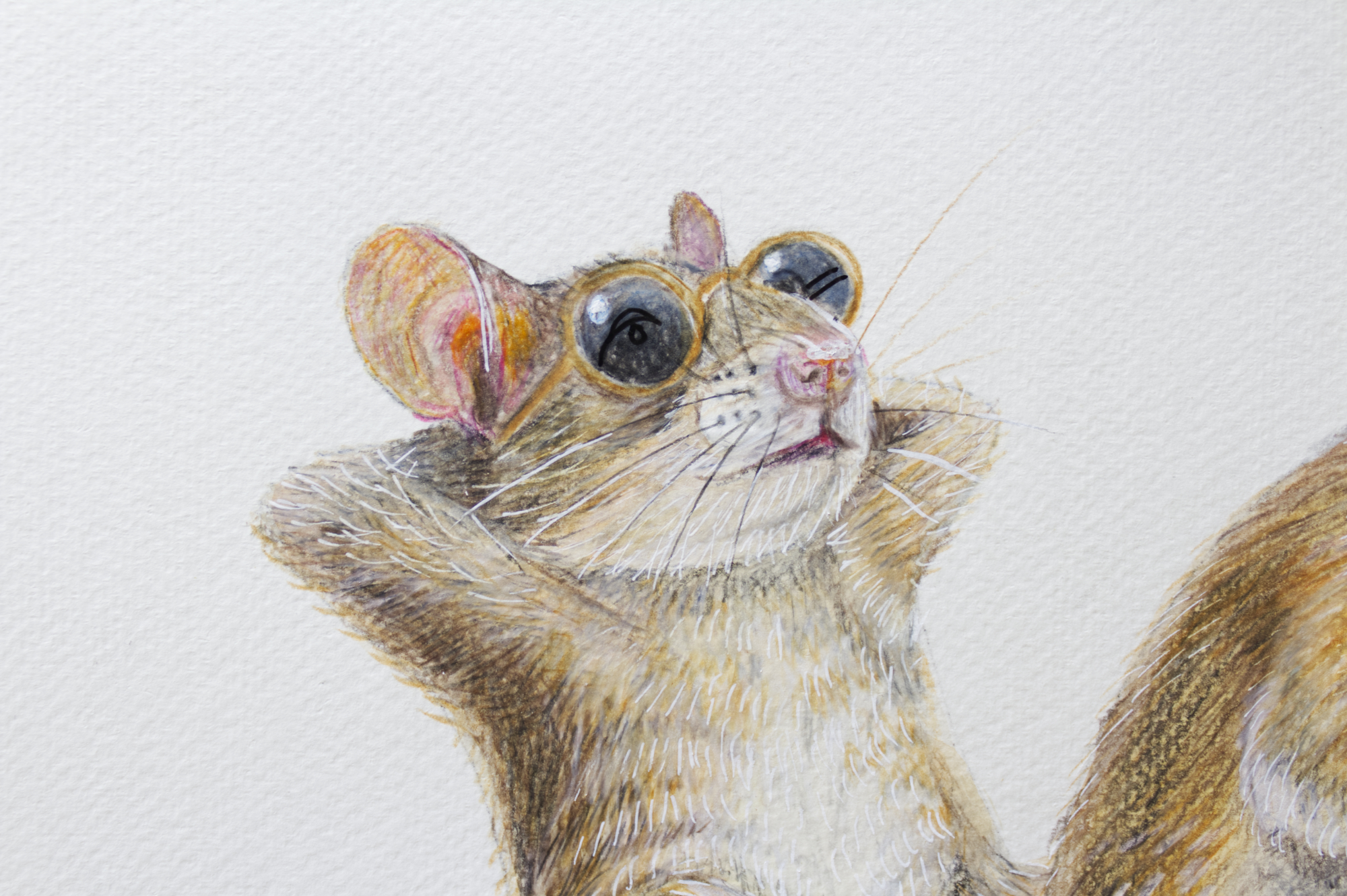 It Takes Two to Tango – Original Colored Pencil Drawing - Image 2